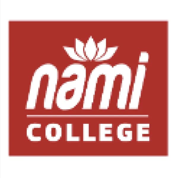 nami logo
