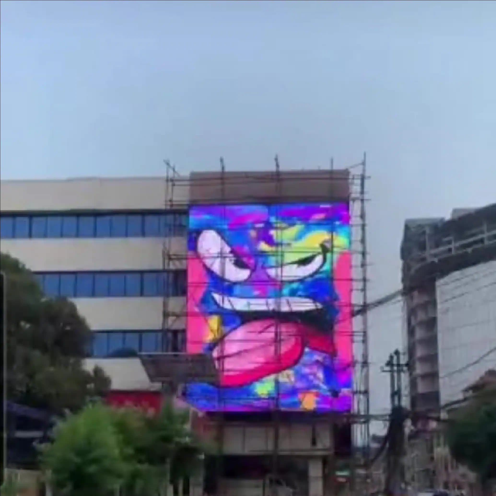 Naxal LED Screen